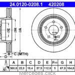 Tarcza hamulcowa tylna DB204 /207