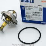Termostat 1162000315