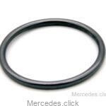 Oring 6119970645