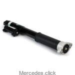 Amortyzator tylny DB205 P