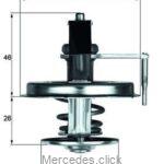 Termostat 1162000215