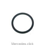 Oring 0269976845 0039971789
