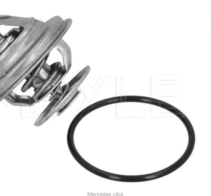Termostat benz. 4078.79D 1102000515 Meyle