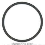 Uszczelka termostatu-oring 0159972348