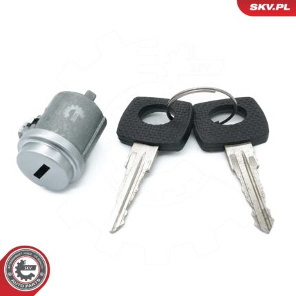 Wkład stacyjki W123/126 1234620479 SKV